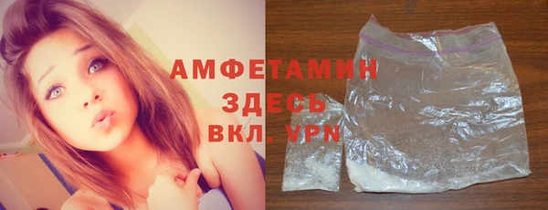 ГАЛЛЮЦИНОГЕННЫЕ ГРИБЫ Инта