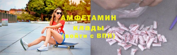 ГАЛЛЮЦИНОГЕННЫЕ ГРИБЫ Инта
