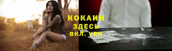 ешки Нестеровская