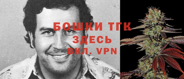 мет Инсар