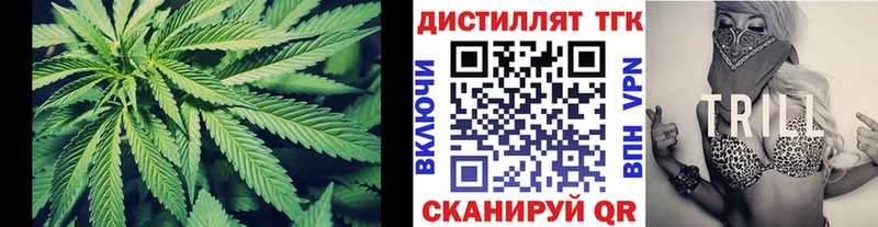 Купить где  Канаш  Дистиллят ТГК THC oil 